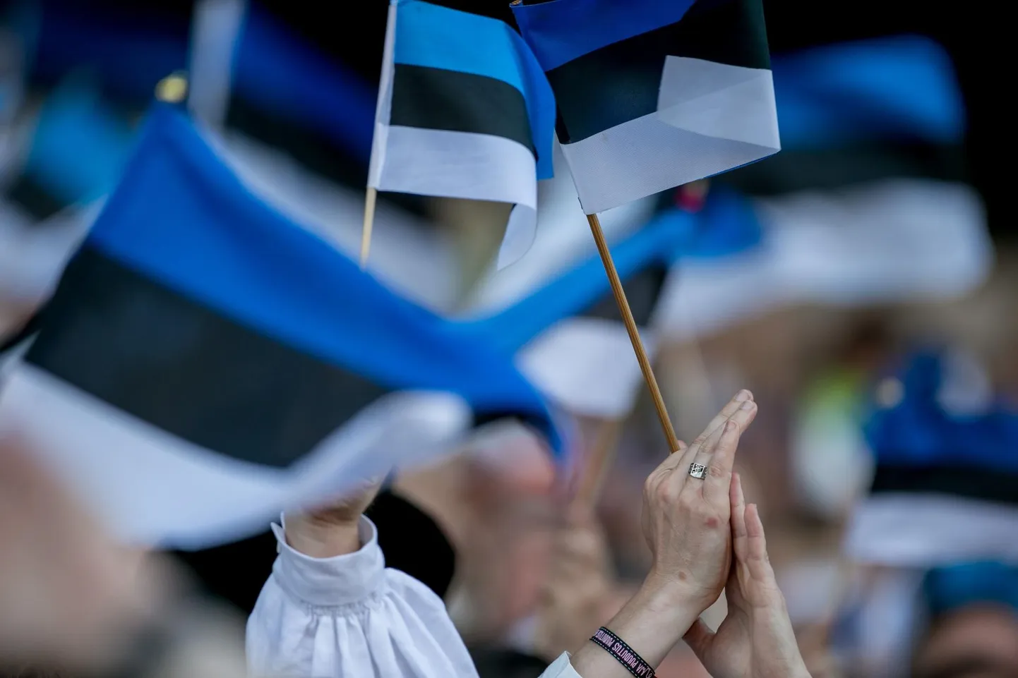 Tänavu 30. novembril tähistatakse omariikluse põlistumise päeva.