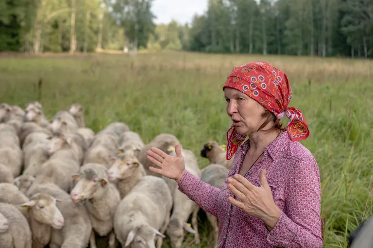 Karula rahvuspargis asuv Ala-Mähkli talu tegeleb perenaise Lilian Freibergi sõnul elustiili nautimisega ehk lammaste kasvatamisega pärandniitudel.