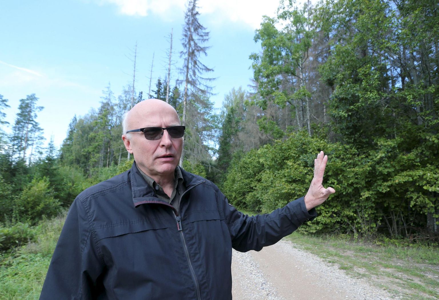 RMK peametsaülem Andres Sepp näitas Elva valla Ervu küla Tulimäe hiies kuivanud puid, mille maha võtmine lükkus kevadesse.