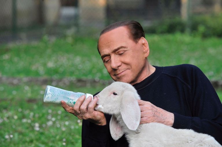 Silvio Berlusconi lambatalle toitmas / Handout/Reuters/Scanpix