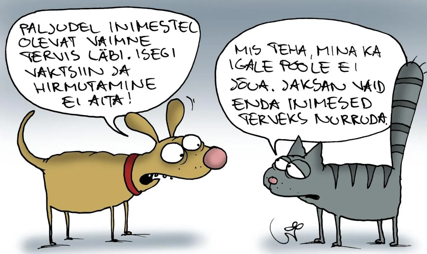 Urmas Nemvalts joonistab FOTO: Urmas Nemvalts