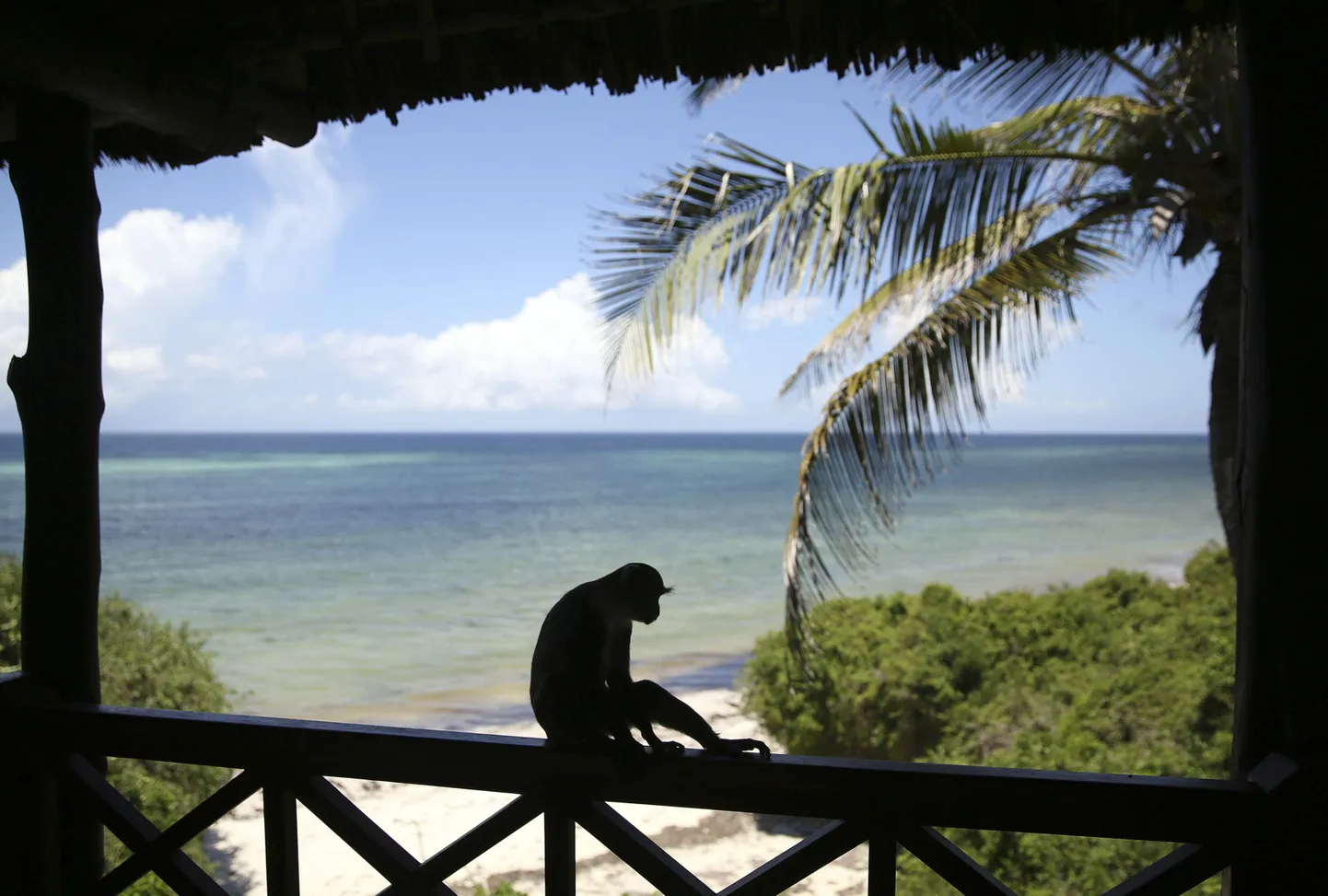 Diani rand India ookeani ääres Keenias.