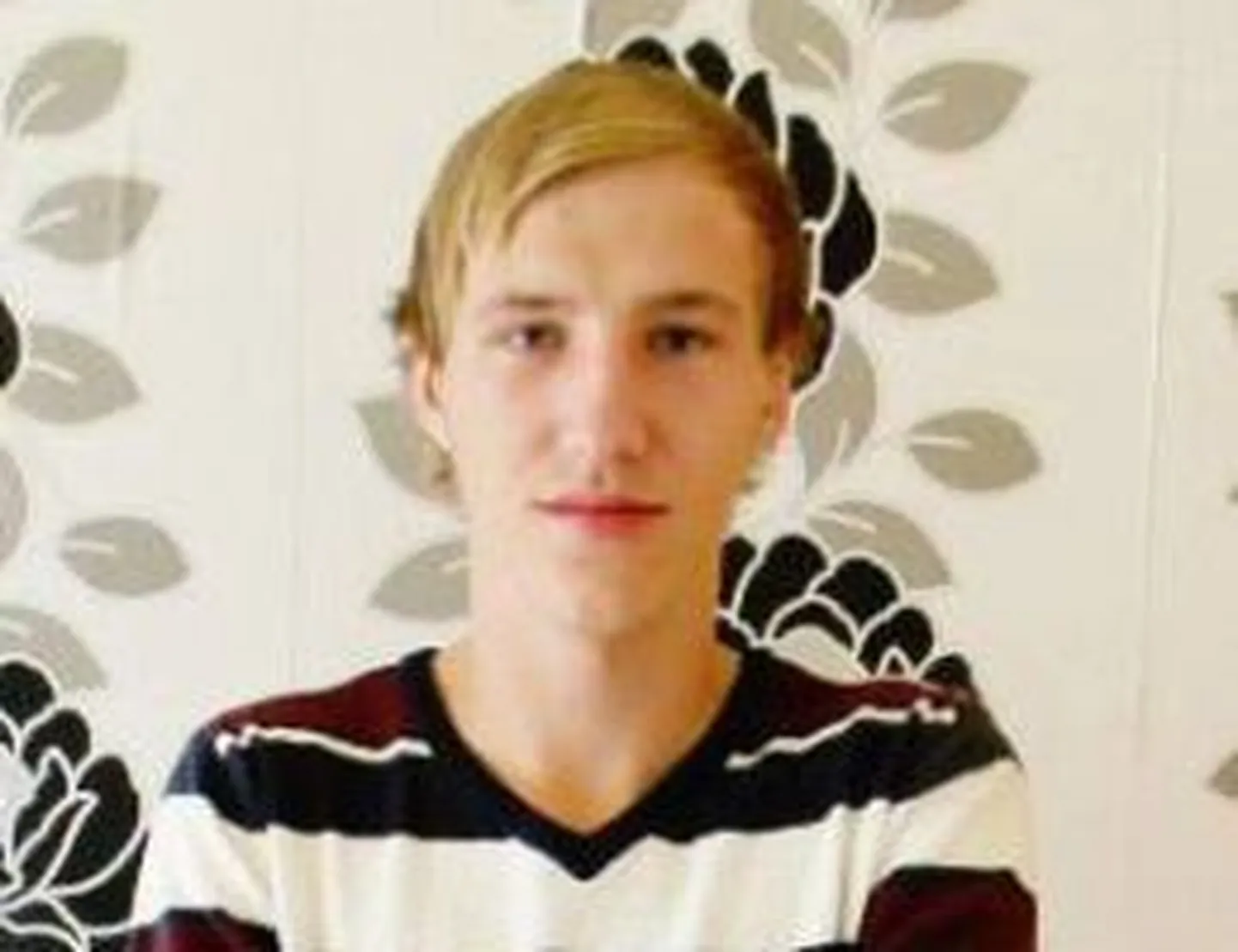 Ergo Hanni