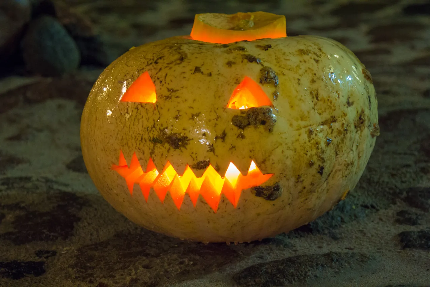 Halloween'i sümboliks on õõnestatud ja sel moel endale näo saanud kõrvitsad.