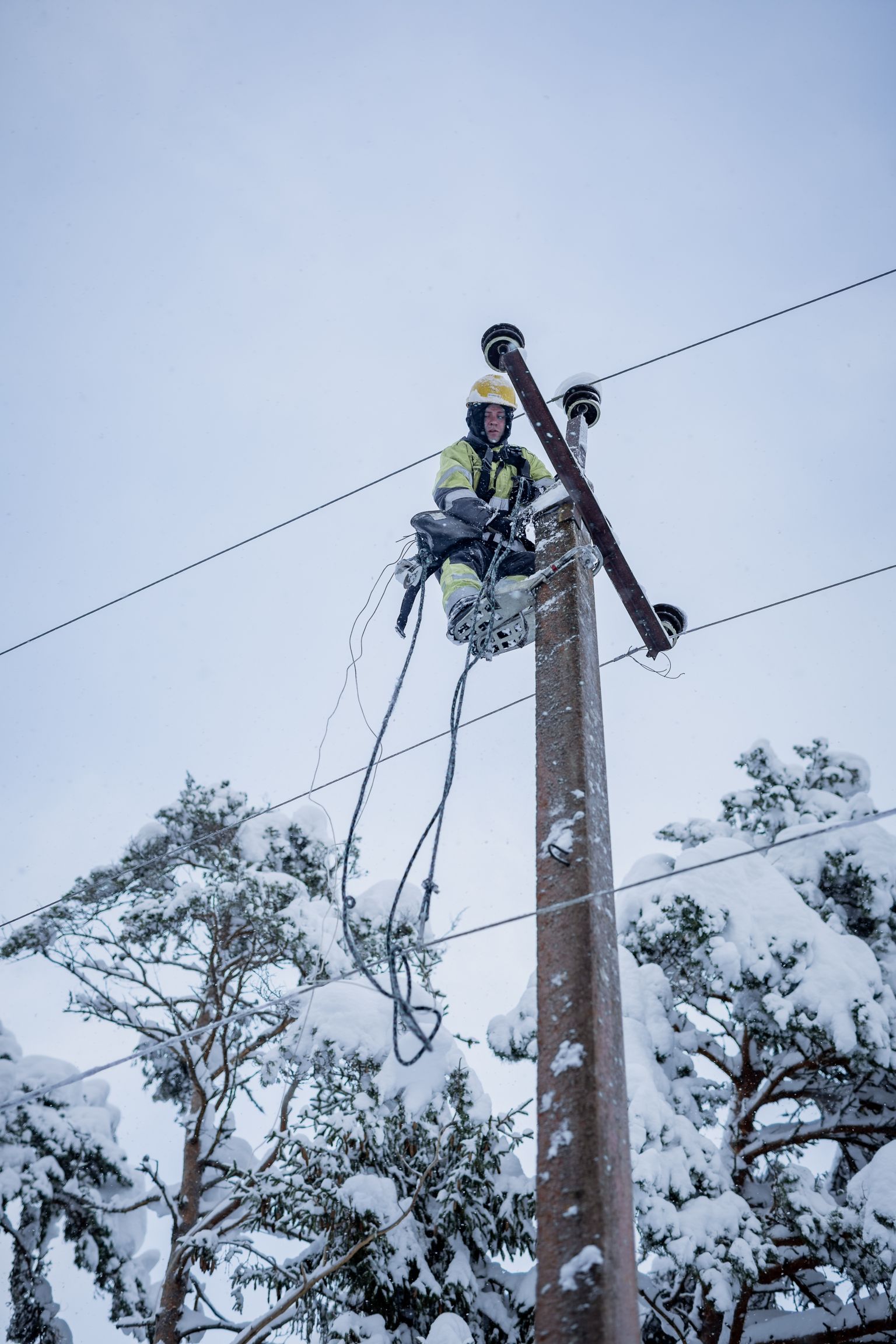 15. detsembri hommikul oli Saaremaal elektrita ligi 1200 majapidamist.