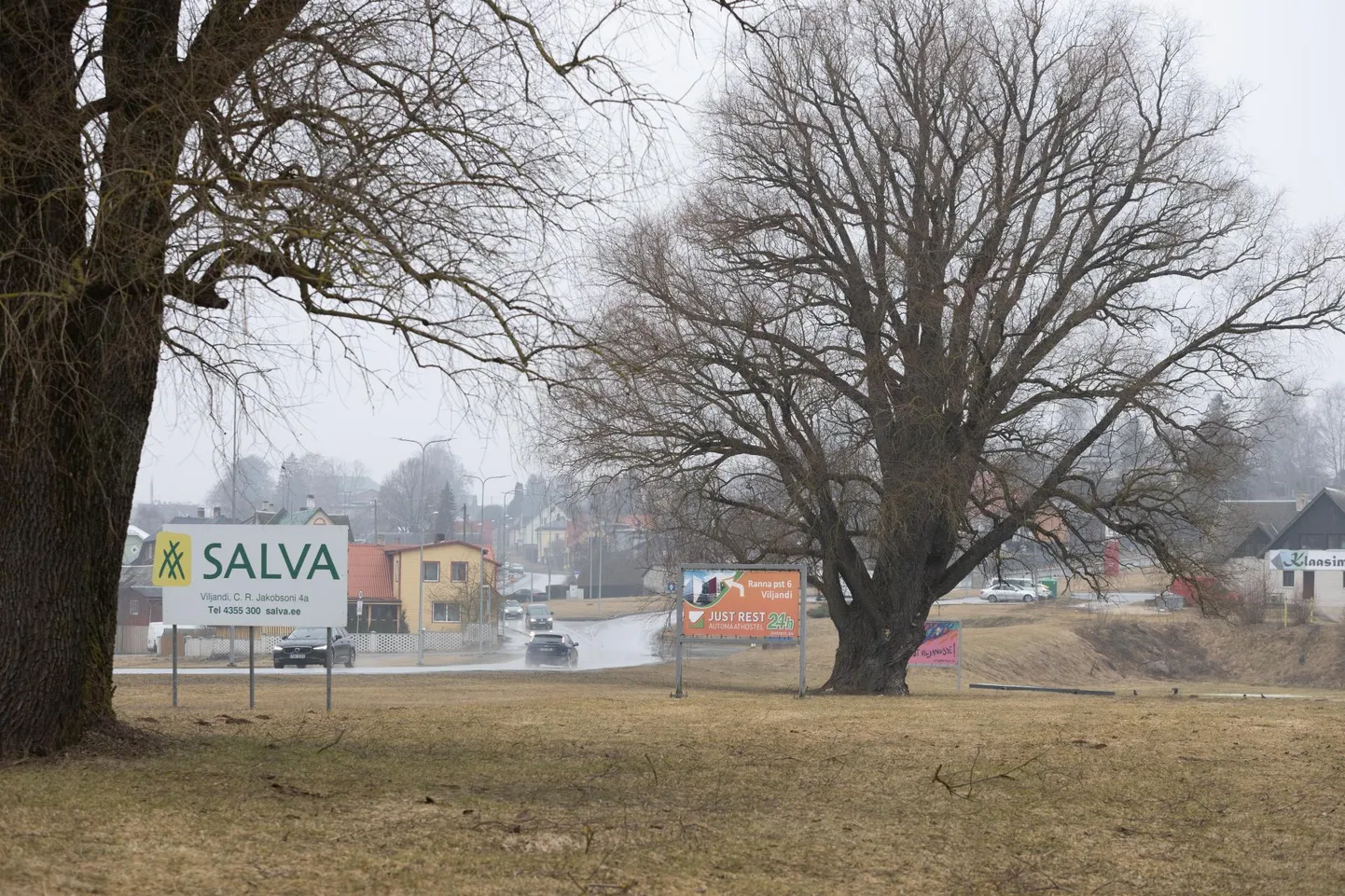 Viljandi avalikus ruumis on sadu reklaame. Sadakond neist on aga sellised, mis on seatud linnamaale, kuid linn ei saa tasu maa kasutamise ega reklaamide esitamise eest ehkki määrused tasu maksmist nõuavad.