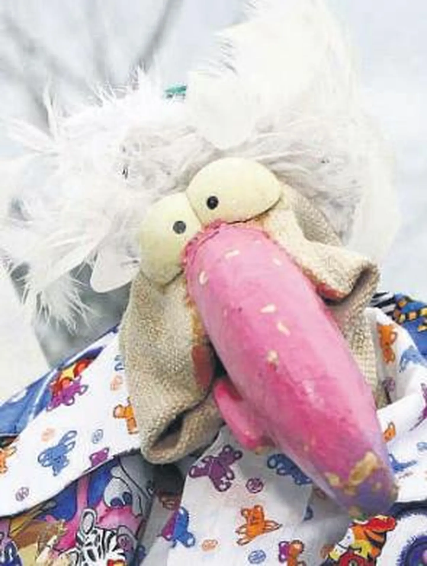 Raksta foto
