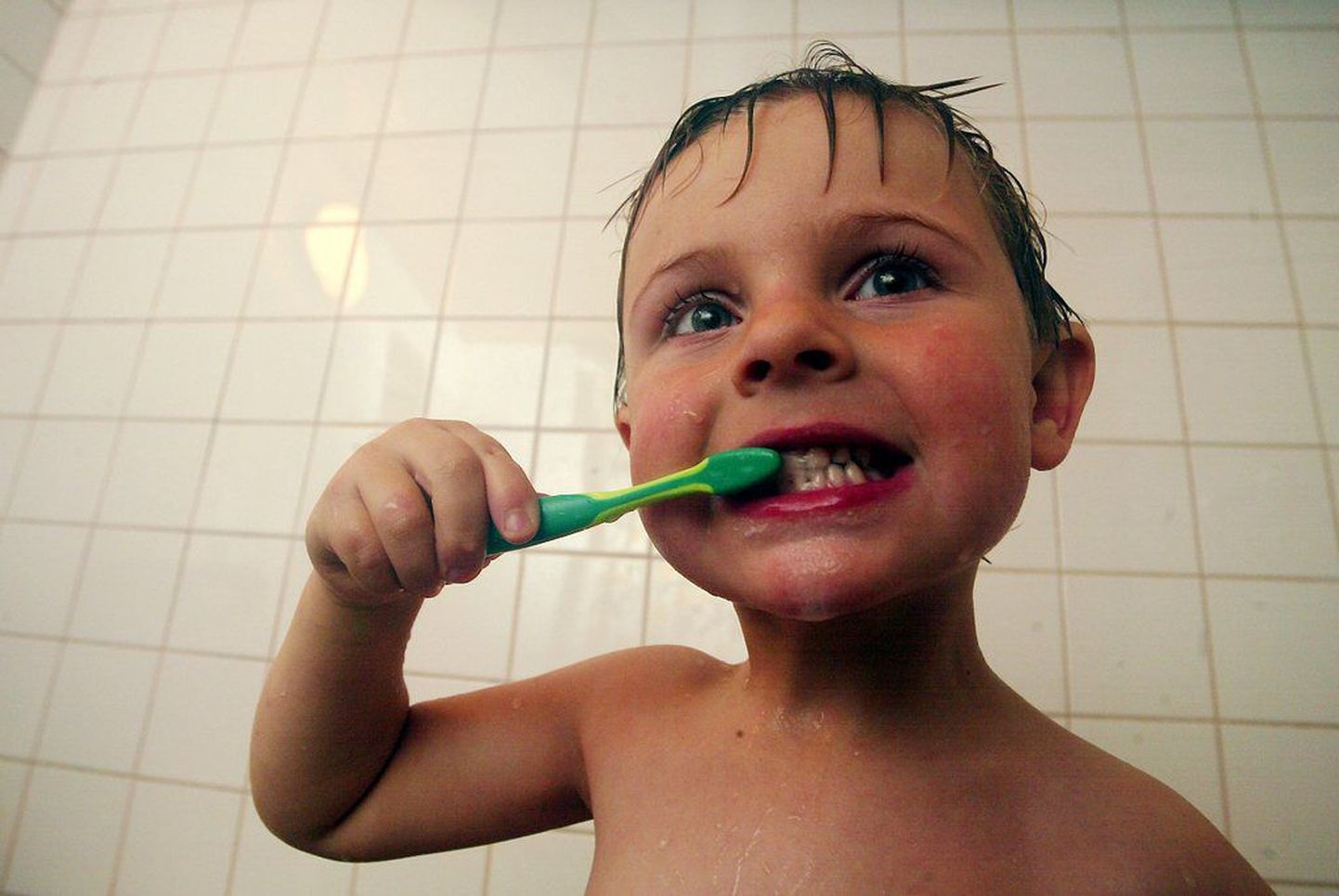 Laps hambaid pesemas..