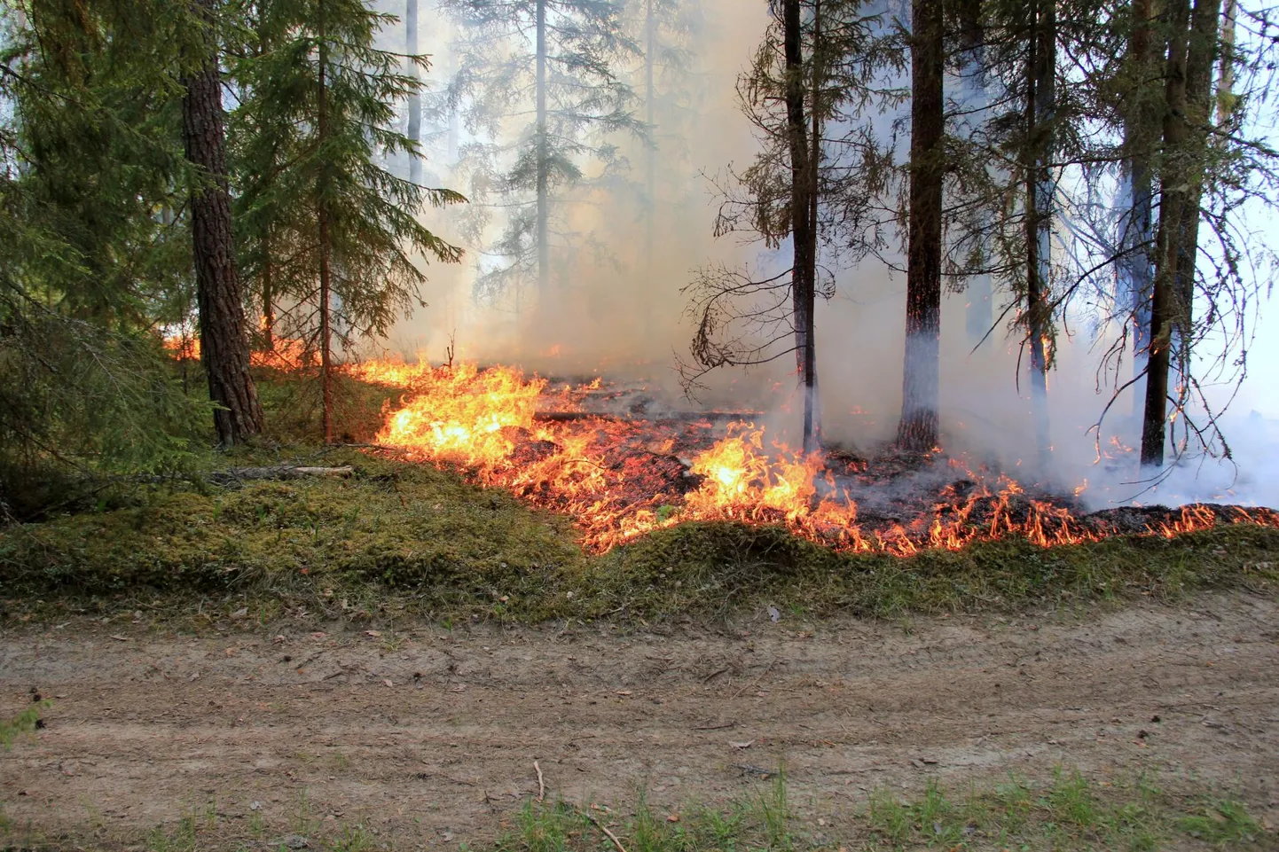 Suure tuleohuga aeg toob kaasa piiranguid metsas tegutsemisel.