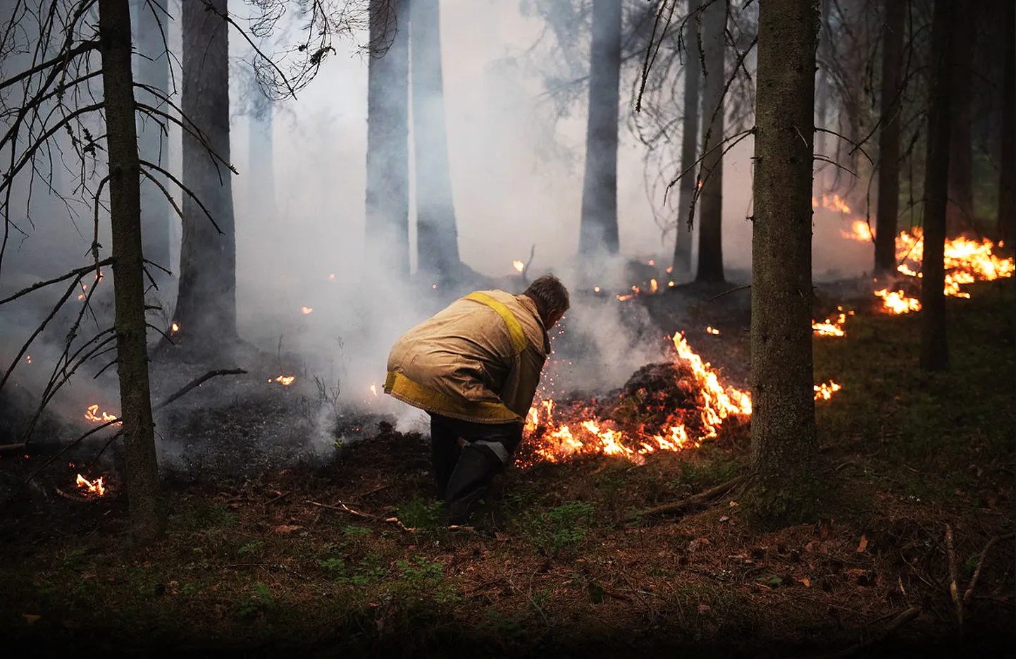 Пожар в лесу и на торфянике в Валдгалской волости