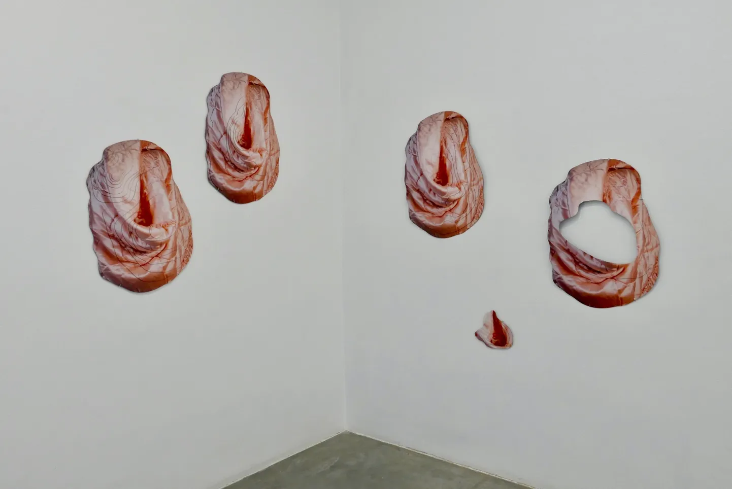 Series of Photo Objects (2020).