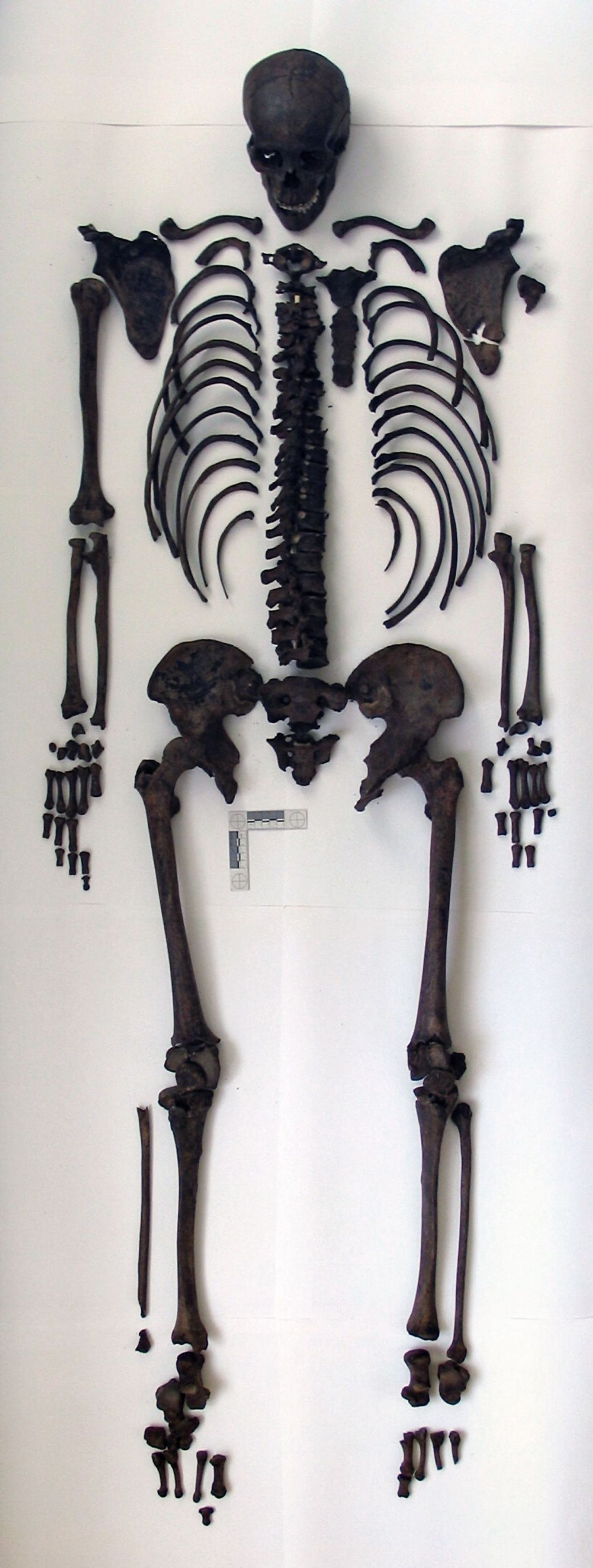 Oletatakse, et leitud skelett kuulub Vene keisrile Ivan VI