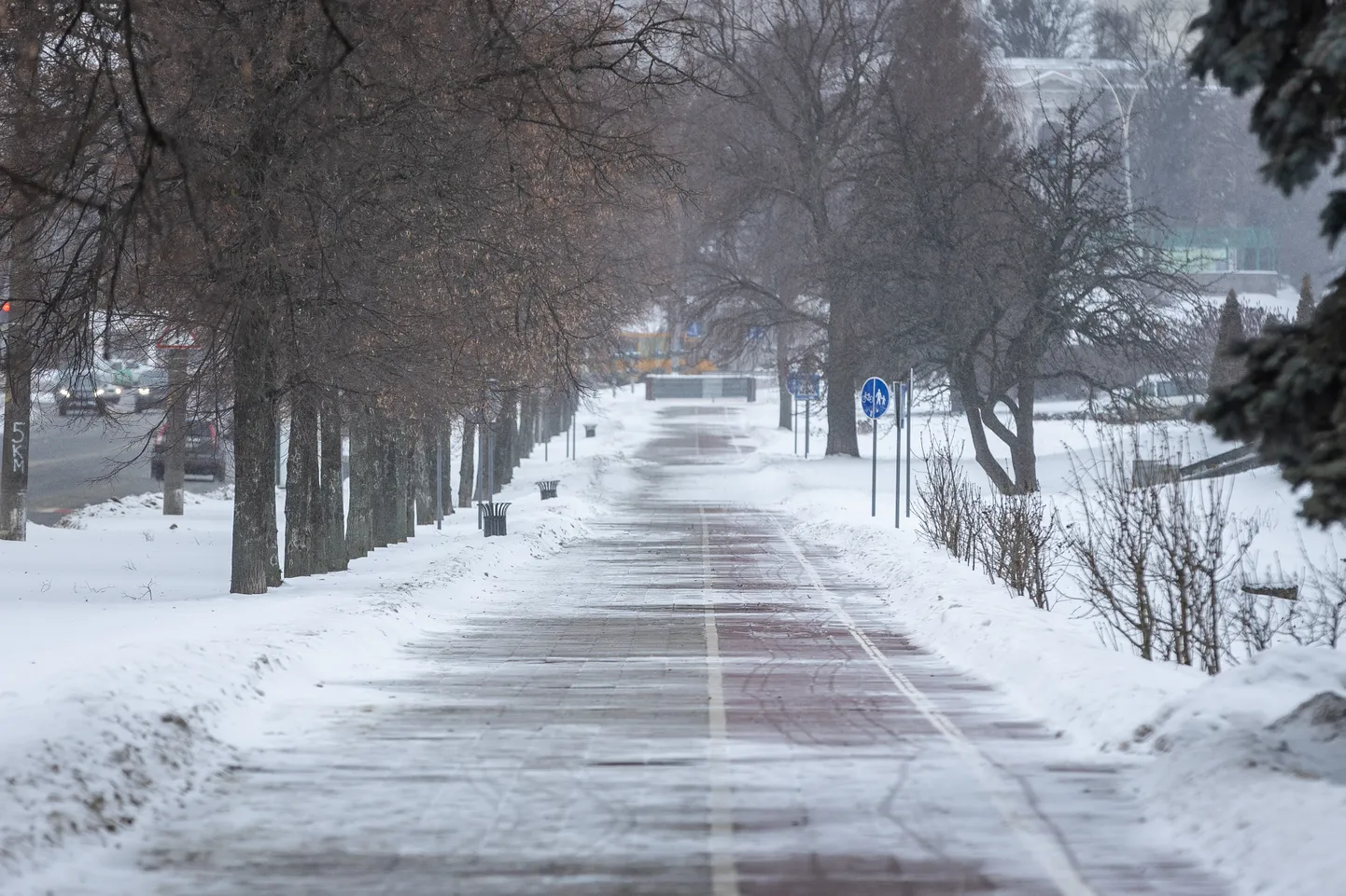 Postimees jälgib elu Ukrainas. Talvine Sumõ