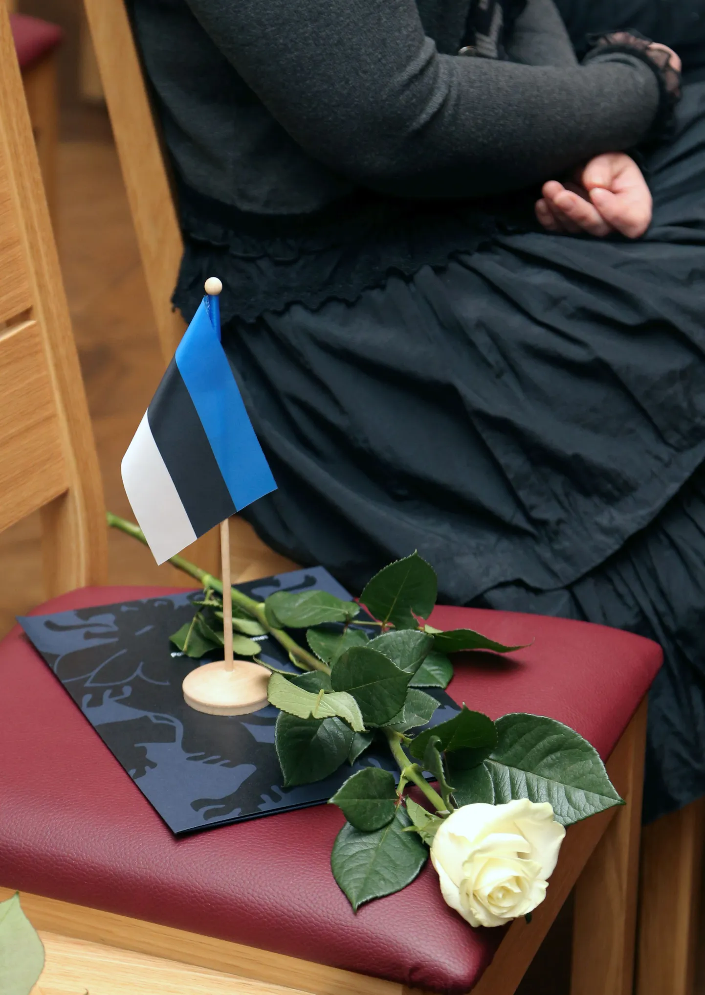Eesti lipp. Foto on illustratiivne.