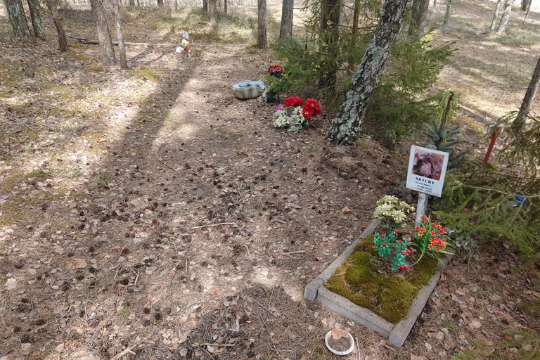 В Куртнаском ландшафтном заповеднике возле Паннъярве с годами образовалось чуть ли не маленькое кладбище домашних животных.