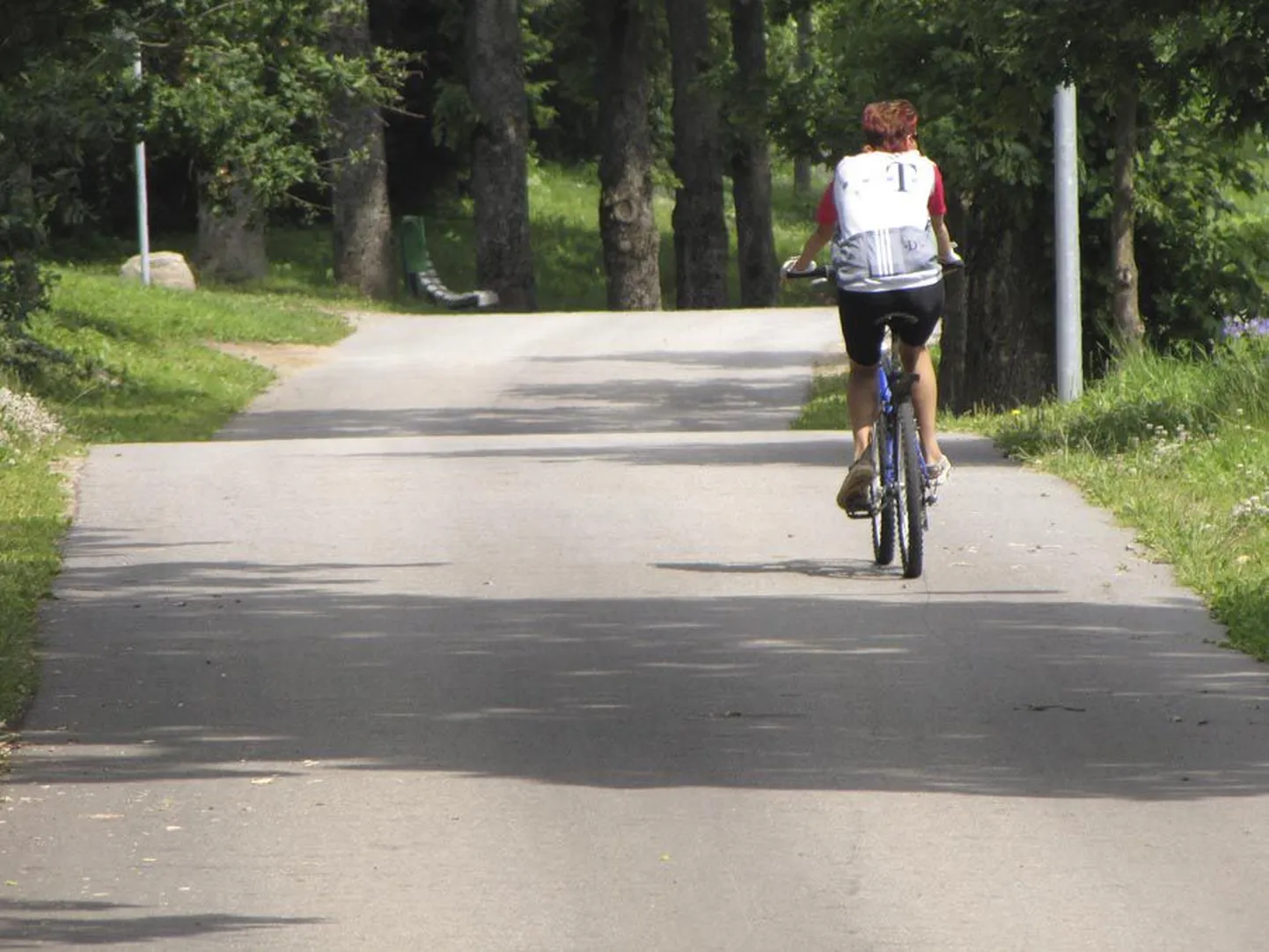 Tervisesport.