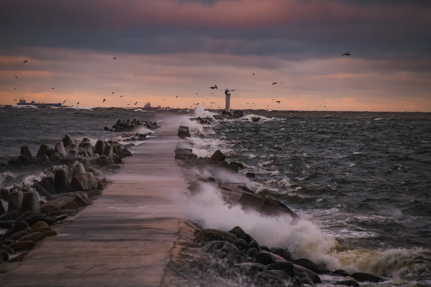 Vējains rīts pie Daugavgrīvas mola