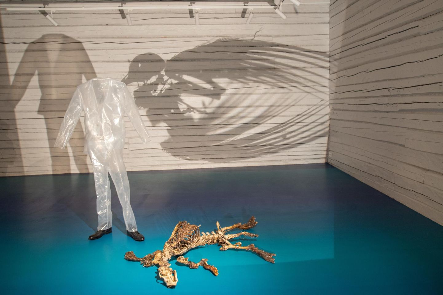 Tänasest on Rüki galeriis avatud näitus, mis käsitleb inimese ja looma suhet.