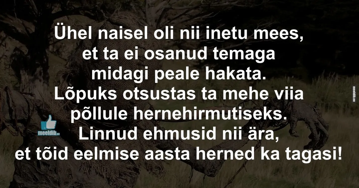 Artikli foto