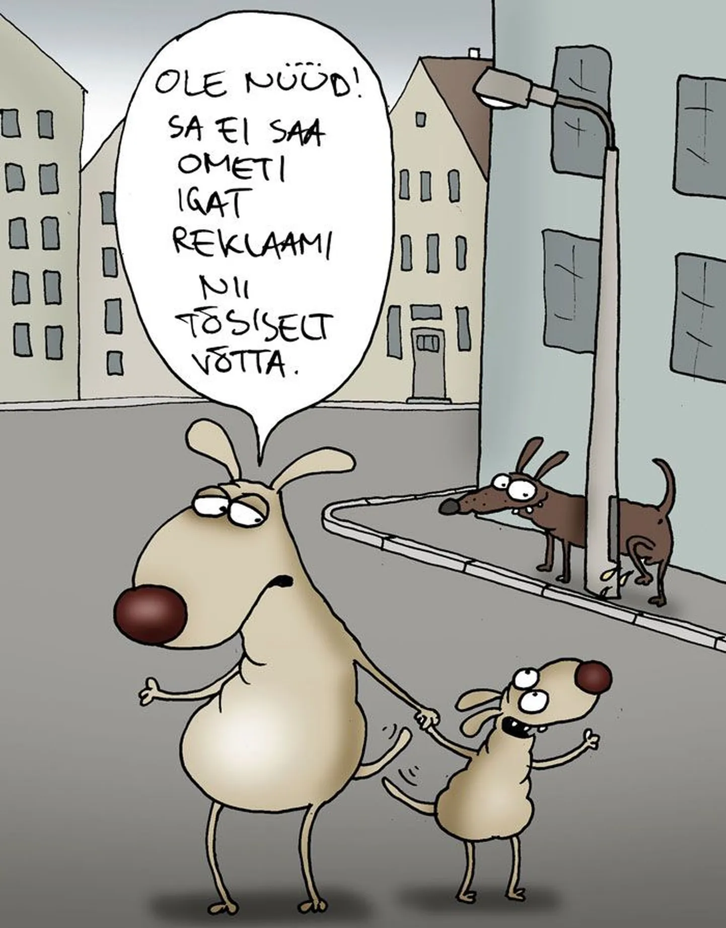 Artikli foto