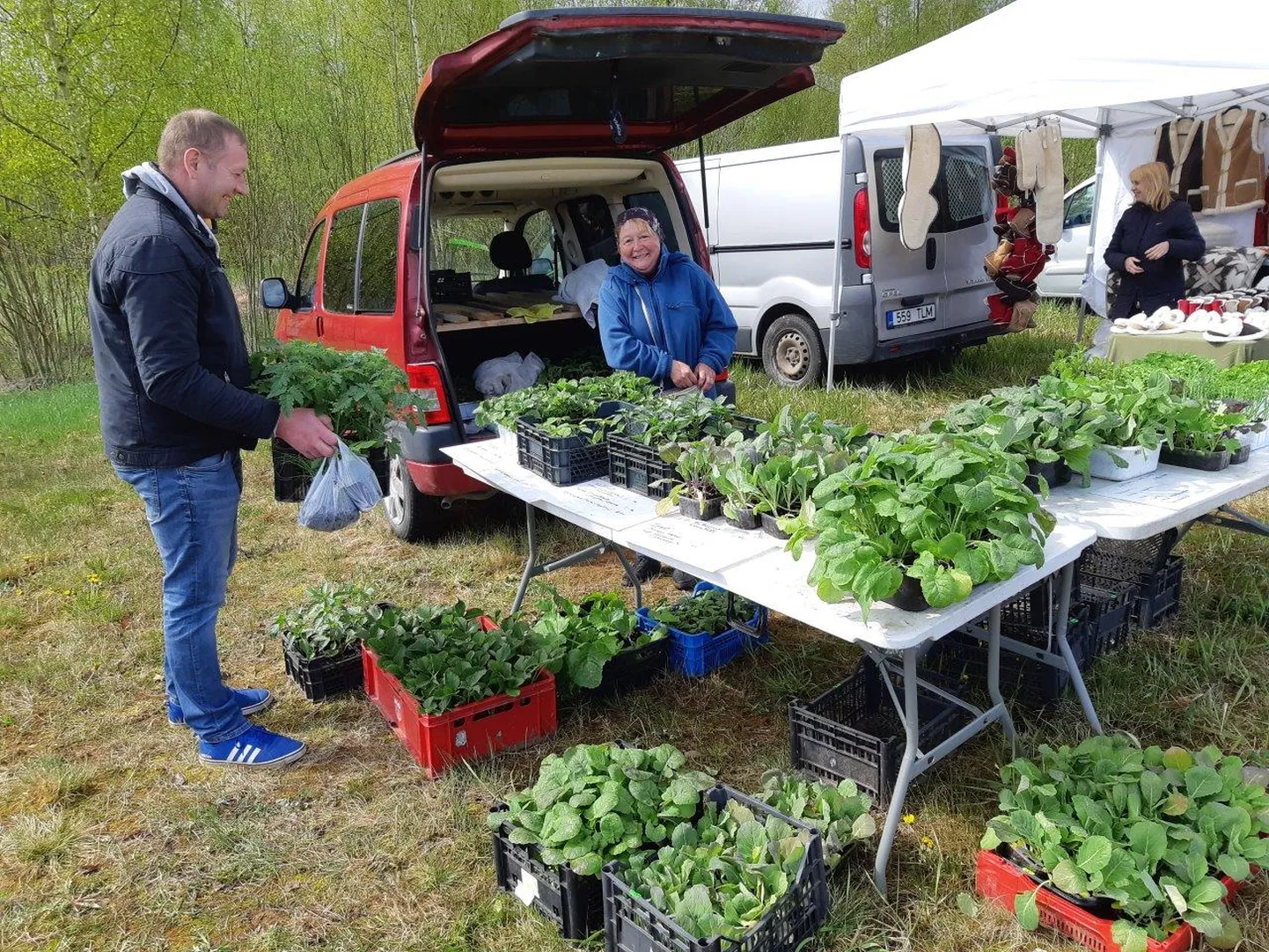 Eelmisel laupäeval leidis Kanepi vallas aset esimene Ihamaru taluturg, kus jätkus nii kauplejaid kui ostjaid.