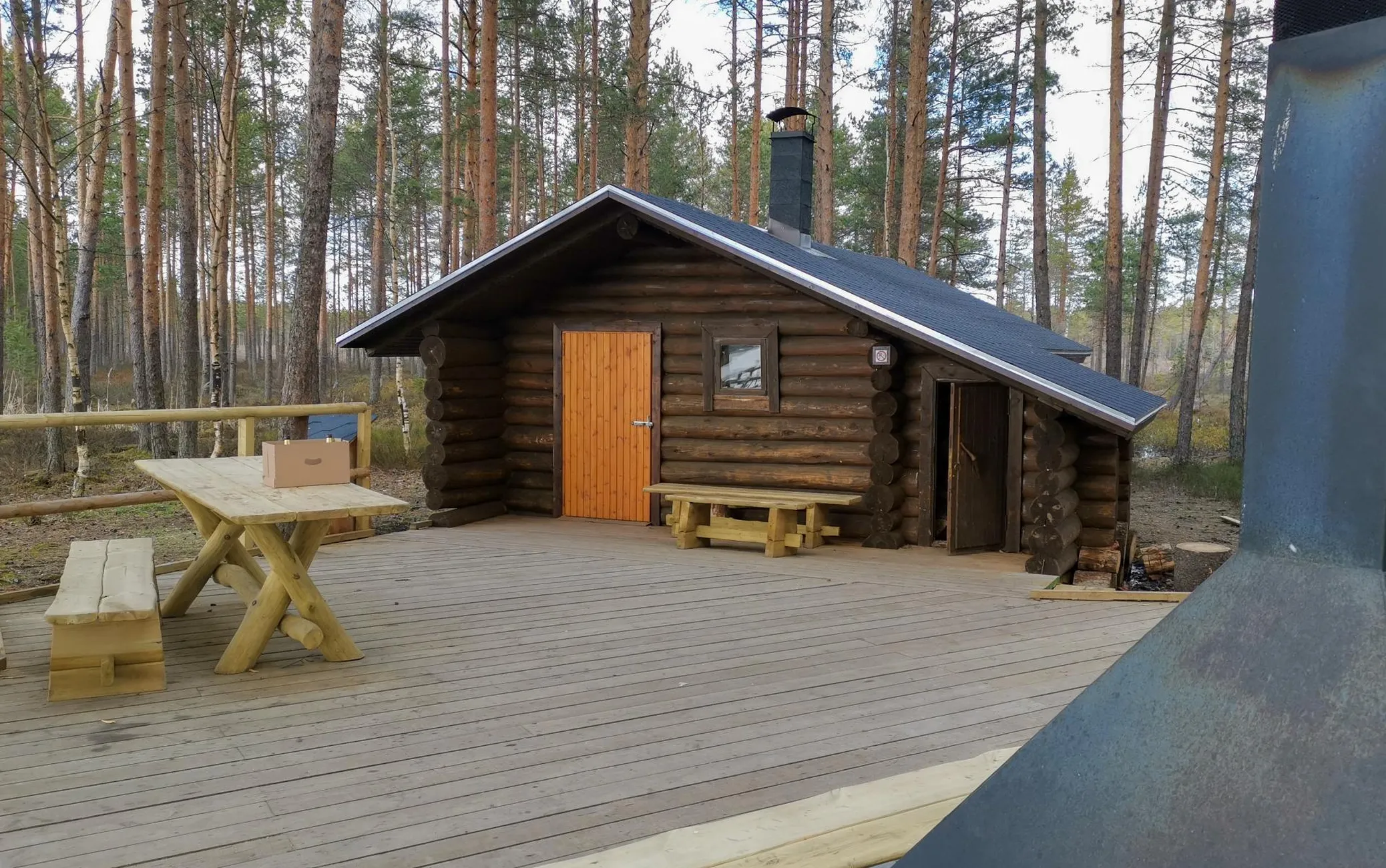 Puhata võib ka Eestis, pildil RMK Tudu metsaonn.