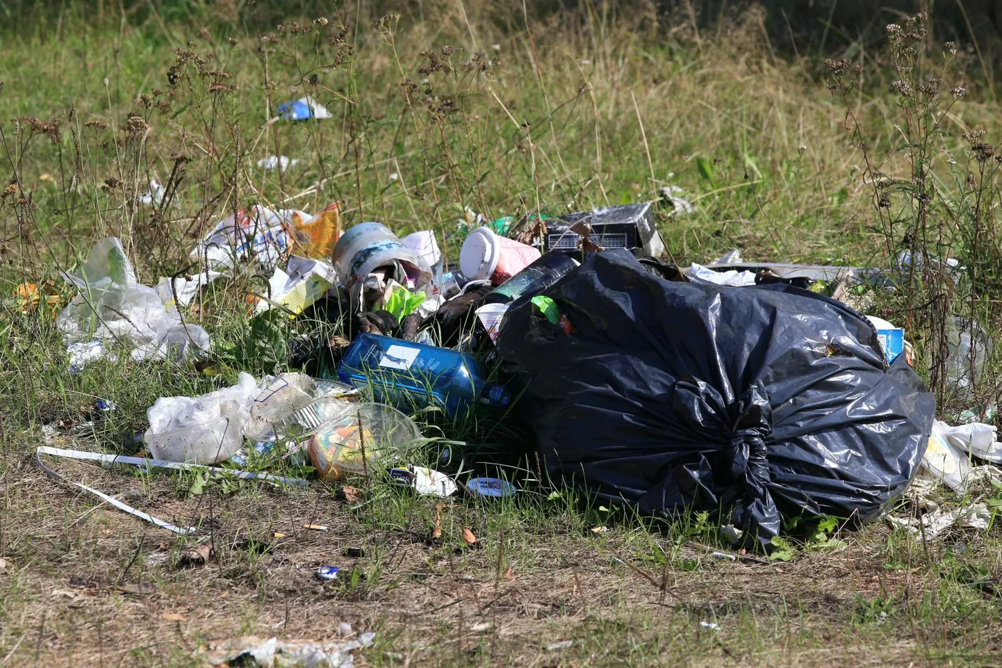 Maailmakoristuspäeval, mille osa on ka linnavalitsuse ettevõtmine, pööratakse tähelepanu pakenditele ja muule pisemale prügile.