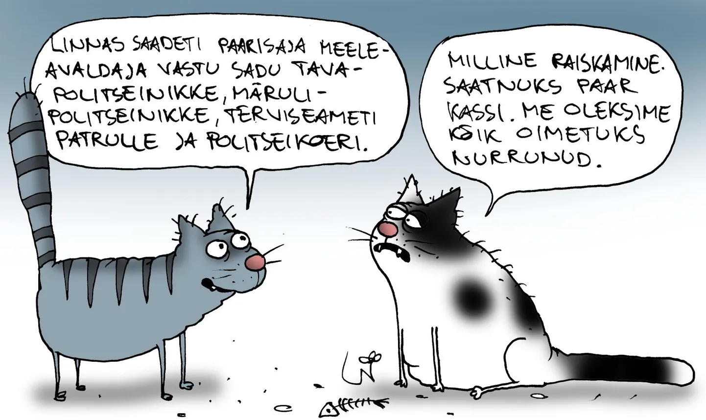 Urmas Nemvalts FOTO: Urmas Nemvalts