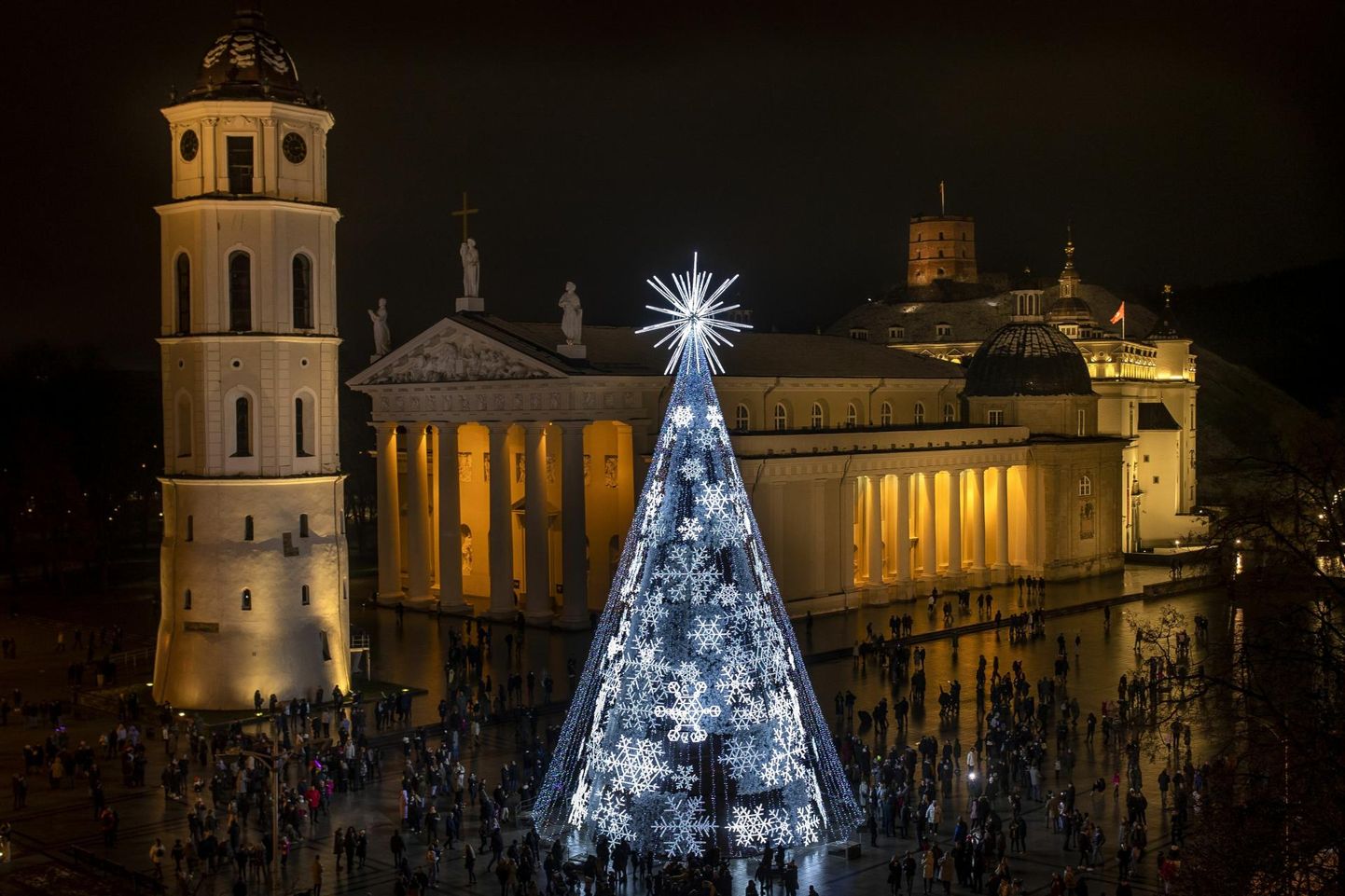 Vilniuse jõulukuusk tuledes 27. novembril 2021. 
