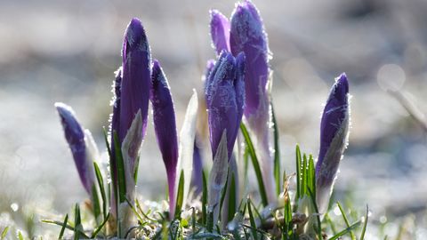 Синоптики рассказали о предстоящем похолодании: местами возможен снег