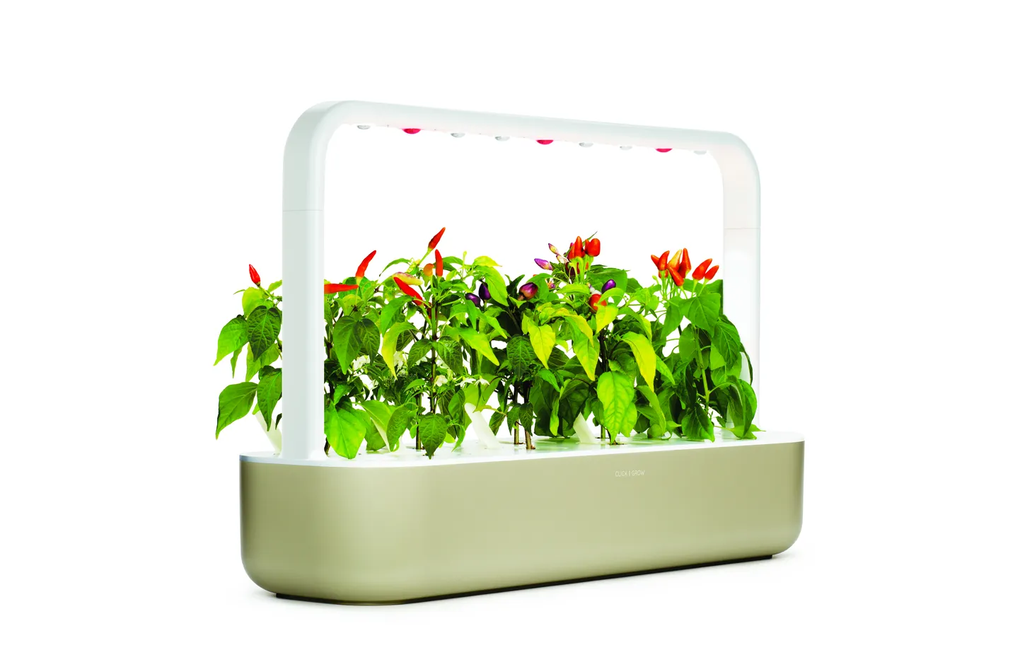 Click & Grow toode.