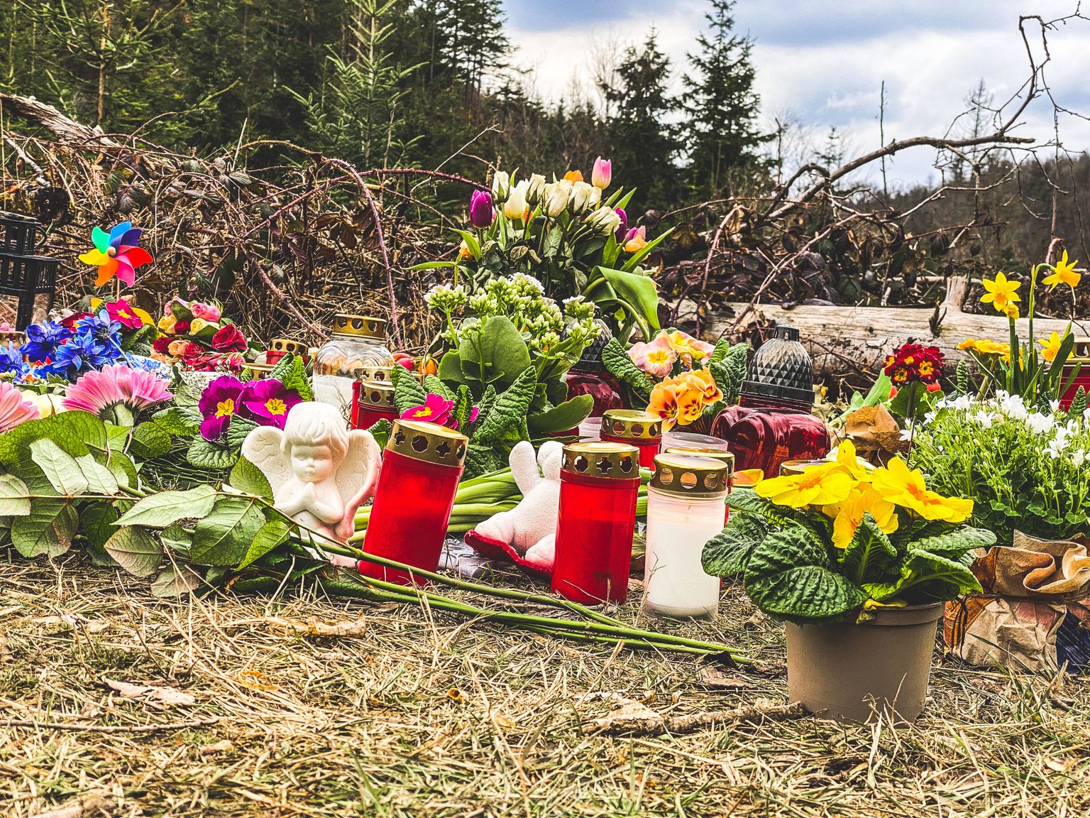 Paik Saksamaa lääneosas Nordrhein-Westfaleni liidumaal Freudenbergi lähedases metas, kus 19. märtsil leiti 12-aastase Luise surnukeha. Politsei teatel oli last pussitatud 30 korda. Inimesed on toonud paika lilli ja küünlaid tüdruku mälestamiseks