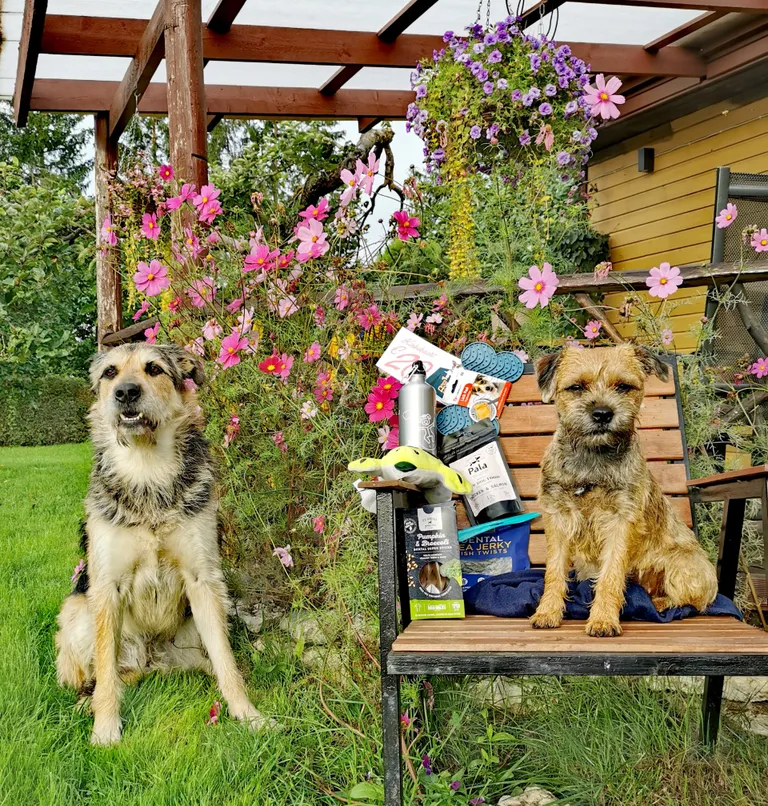 Fotokonkursi võitjad Otto (vasakul) ja Henna (paremal) poseerivad auhinnapakiga, mille pani välja PetCity.