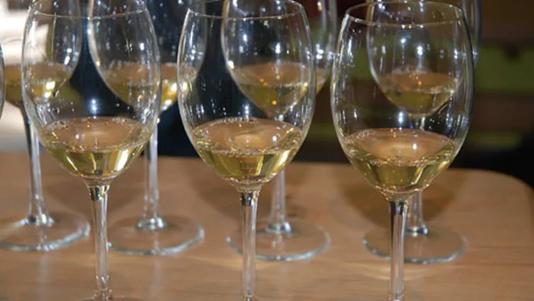 Balto ceriņu vīns - viens no eksotiskākajiem Vara Baņģiera darinājumiem 