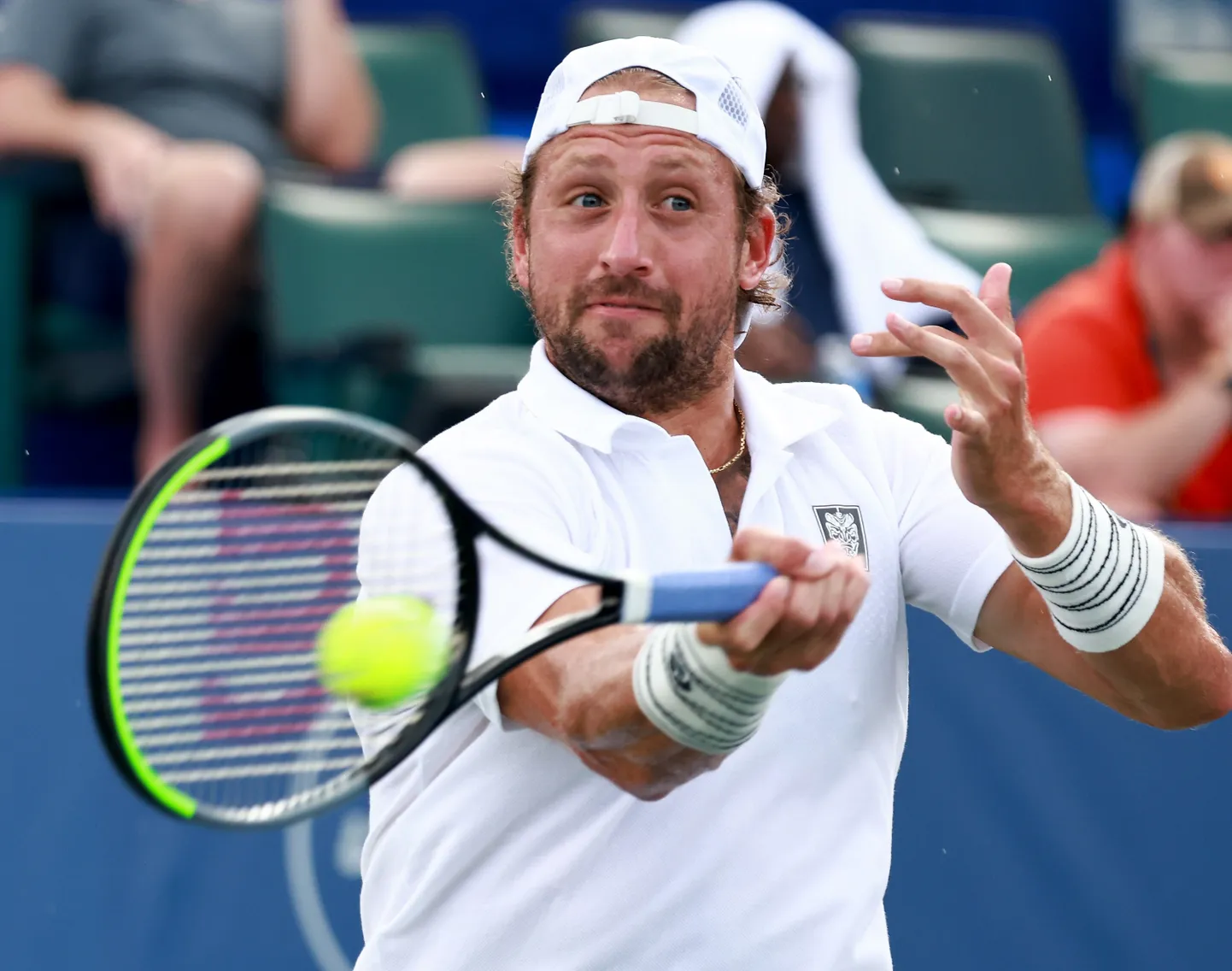 Tennys Sandgren.