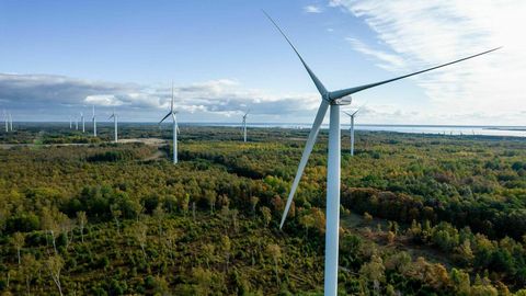 Больше возобновляемых источников энергии: в Эстонии появится огромный ветропарк