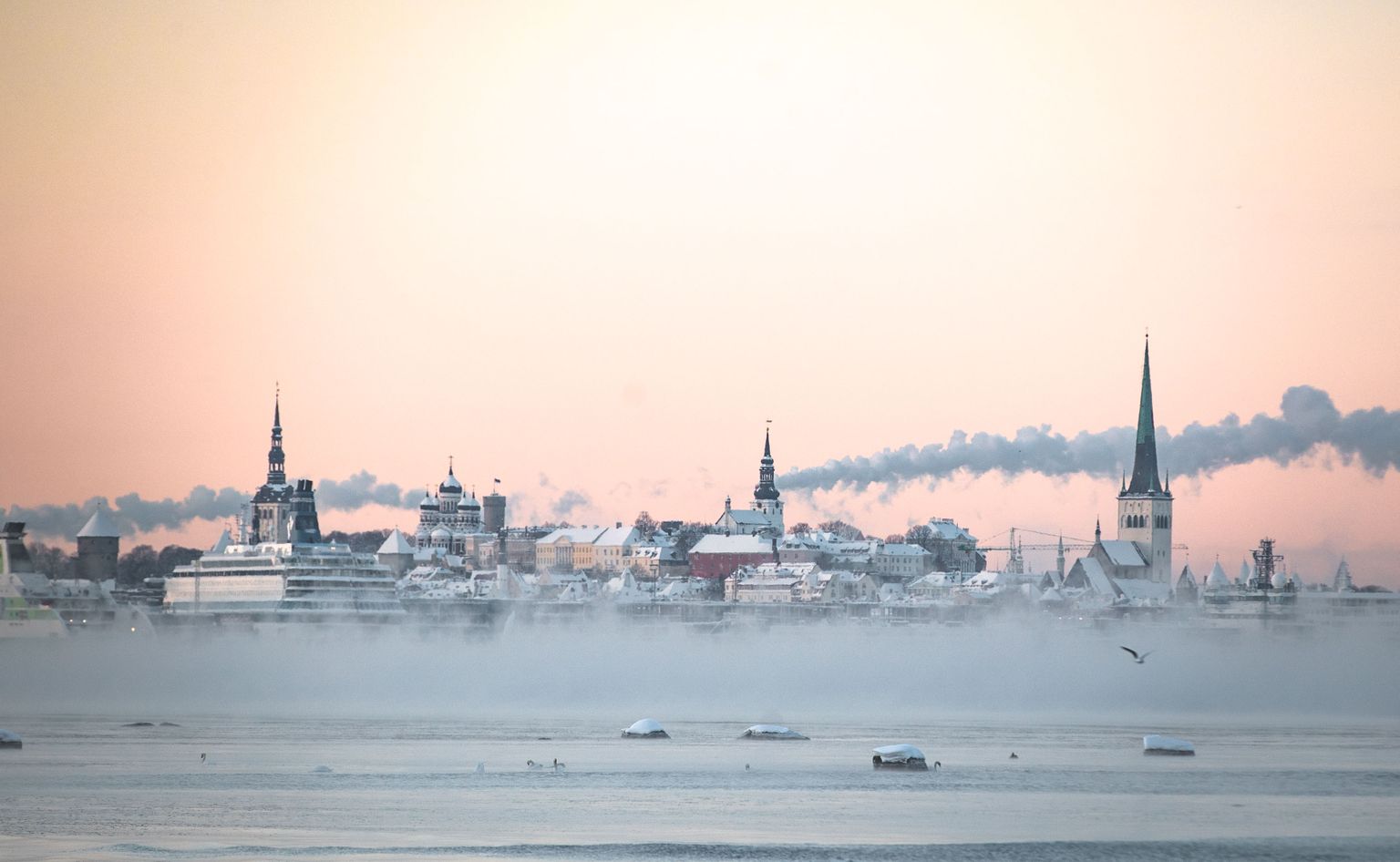Karge talvehommik Tallinnas. Pilt on illustreeriv.