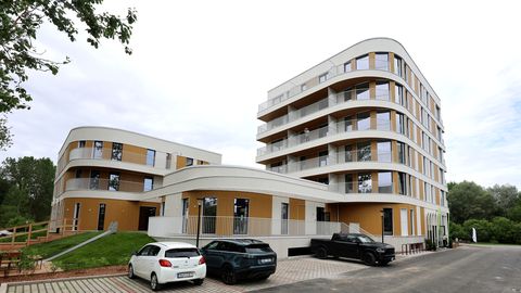 GALERII ⟩ Seitsme aastaga kerkinud Linnupargis valmis viiman