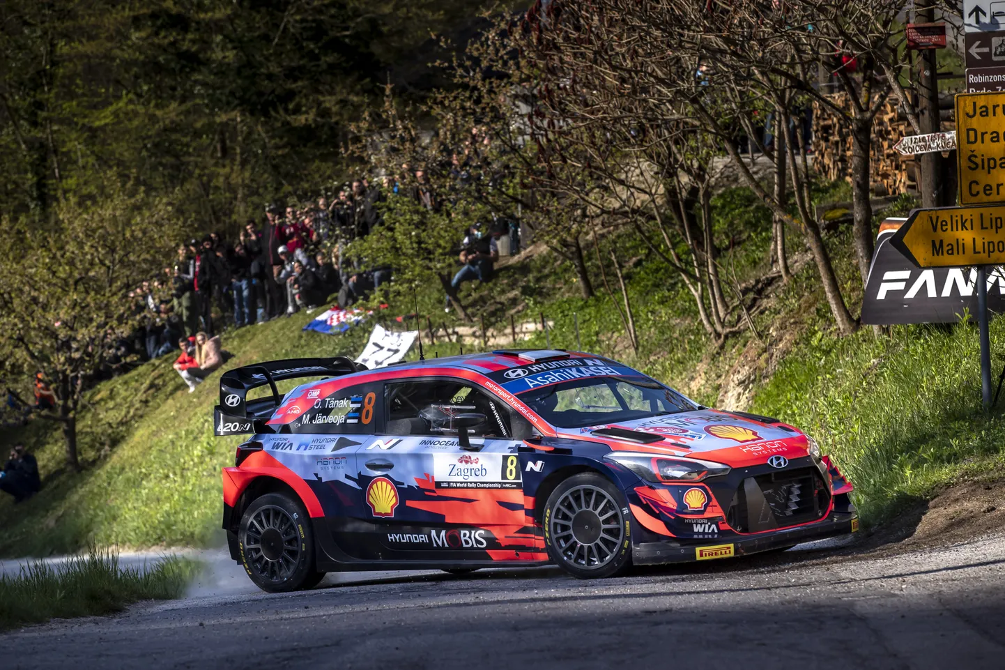 Ott Tänak Horvaatia MM-rallil.