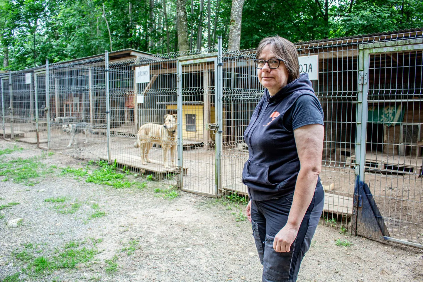 Valga kodutute loomade varjupaiga juhataja Jana Juhkam lausus, et nad on varjupaika kõvasti panustanud ja selle kadumine Valgast ei tundu olevat mõistlik.