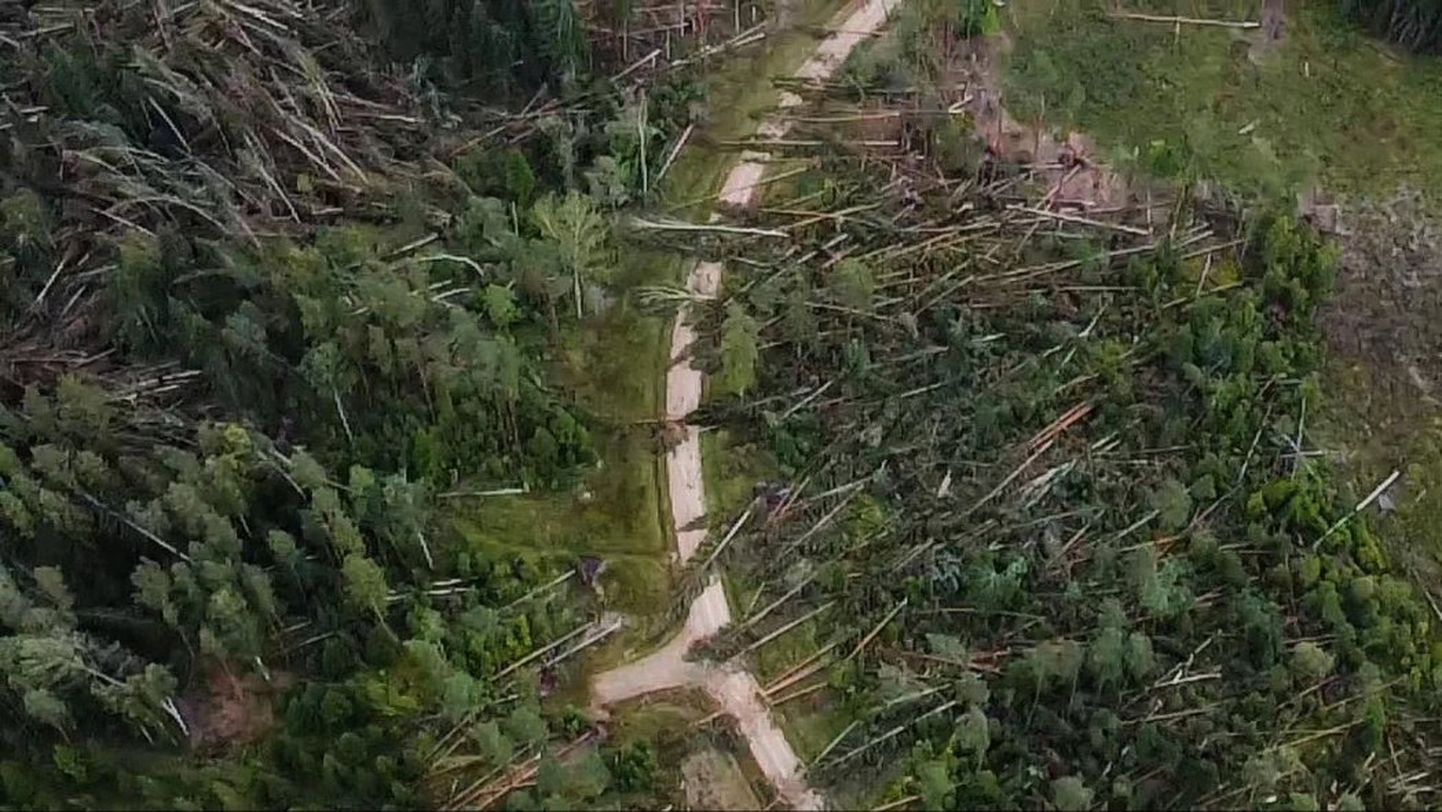 Последствия урагана в лесах Гулбенского края