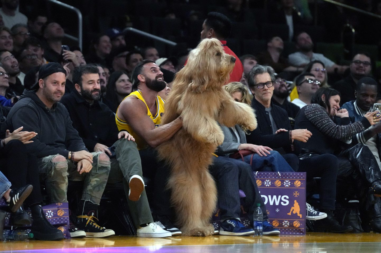 На матч лиги NBA пришла Броди - в соцсетях за жизнью собаки следят несколько миллионов подписчиков.