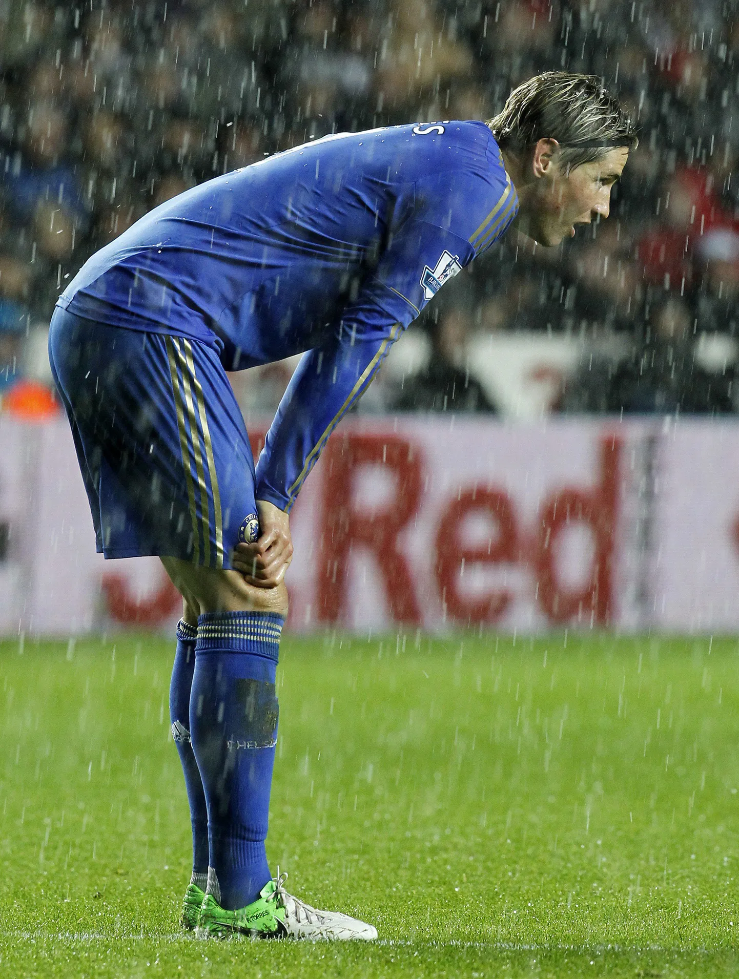 Fernando Torres.