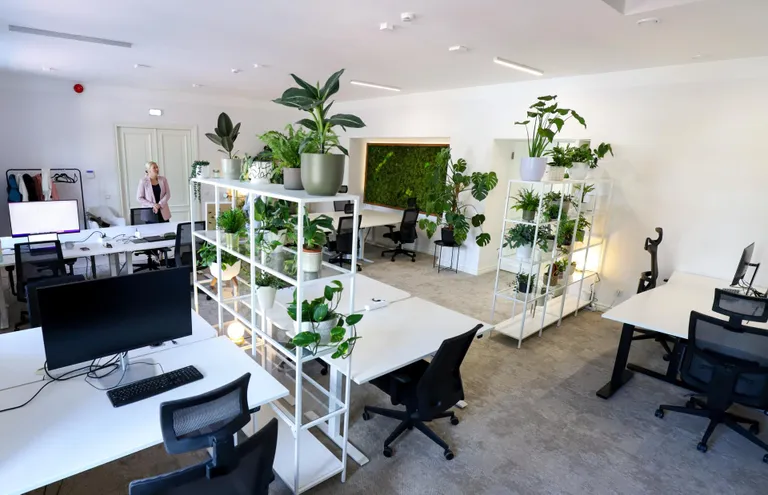 WorkVibe’is saab rentida nii töölauda, koosolekuruumi kui korraldada ühisüritusi.