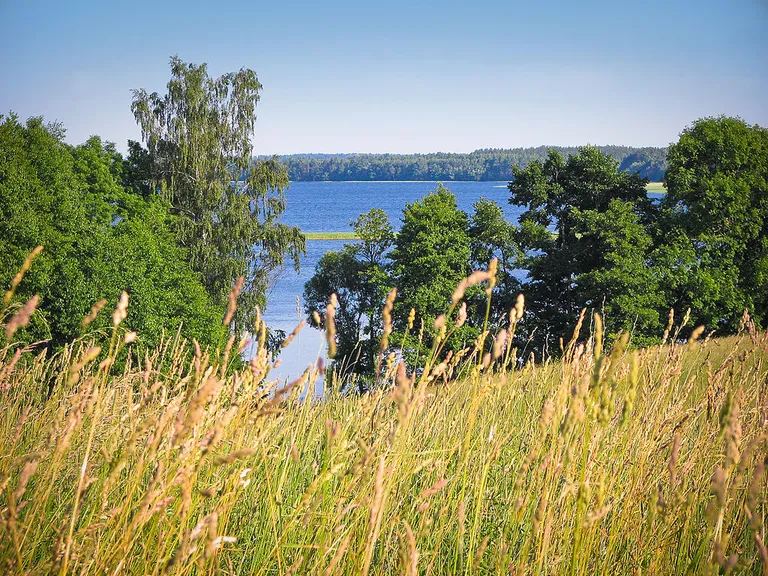 Raksta foto