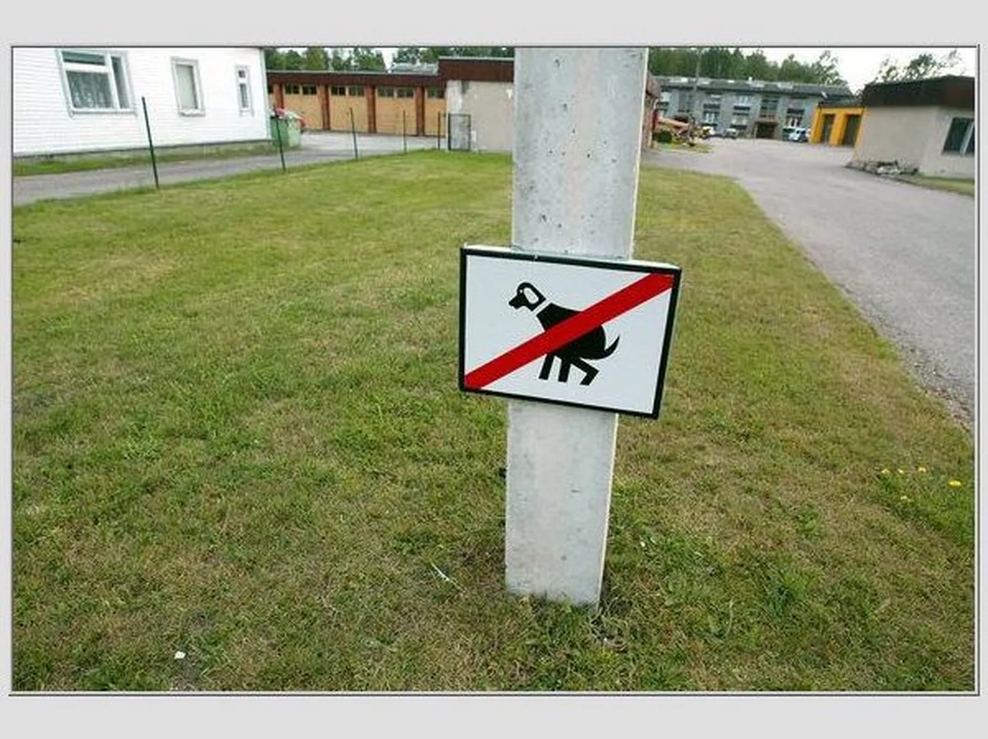 Koerte kakamise keelumärk.