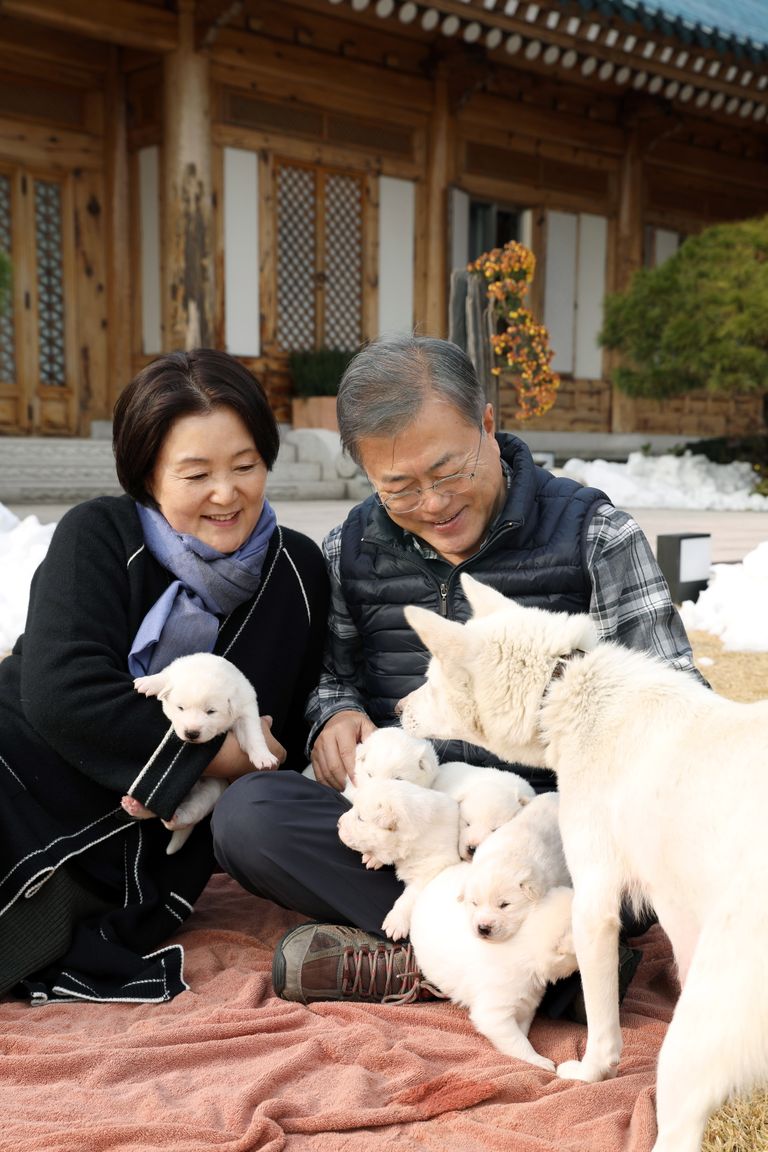 President Moon Jae-in ja esileedi Kim Jung-sook kutsikate ja nende emaga.