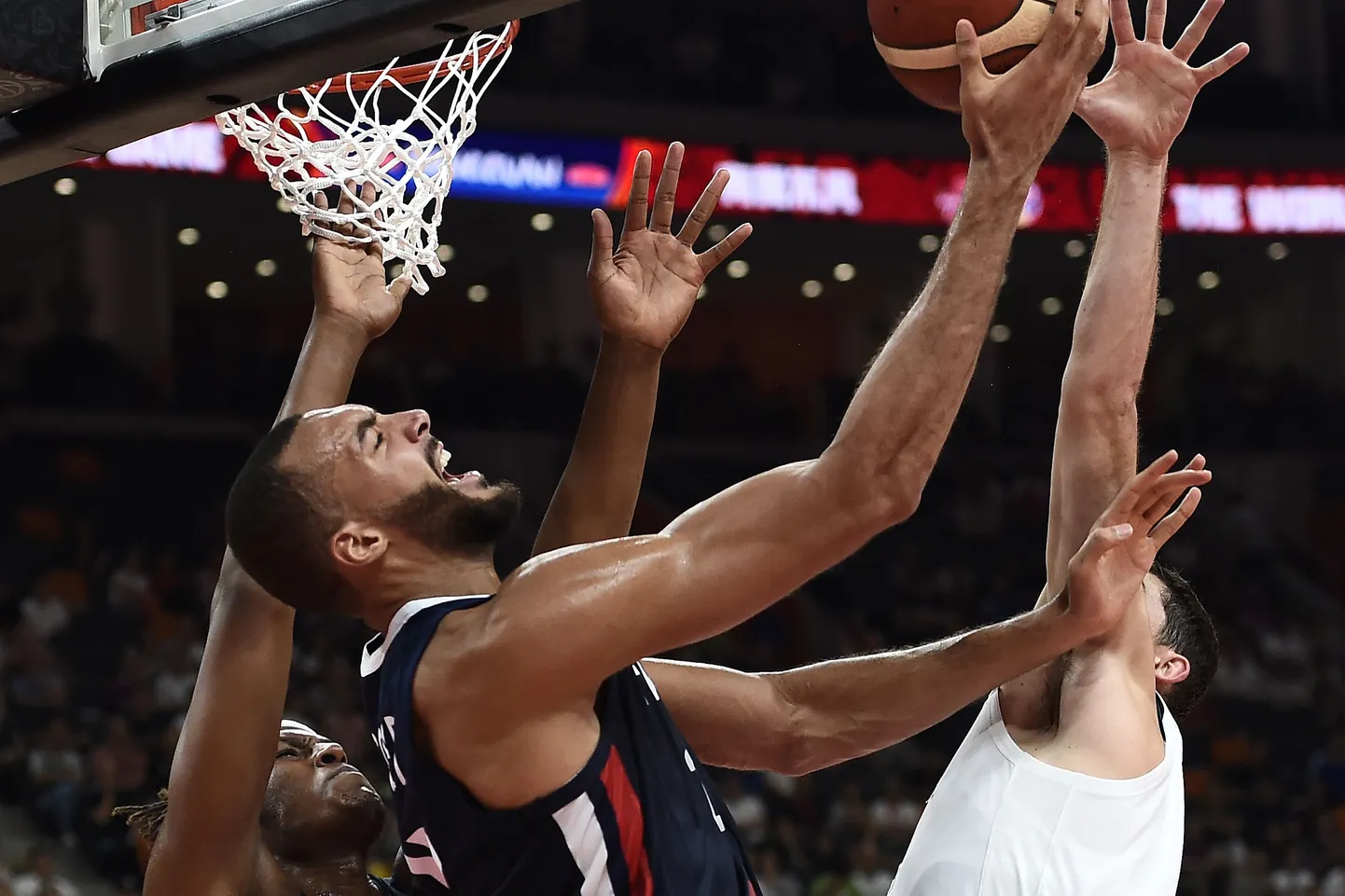 Rudy Gobert (palliga)