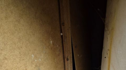 Tuhaluuk süütas riidekapi