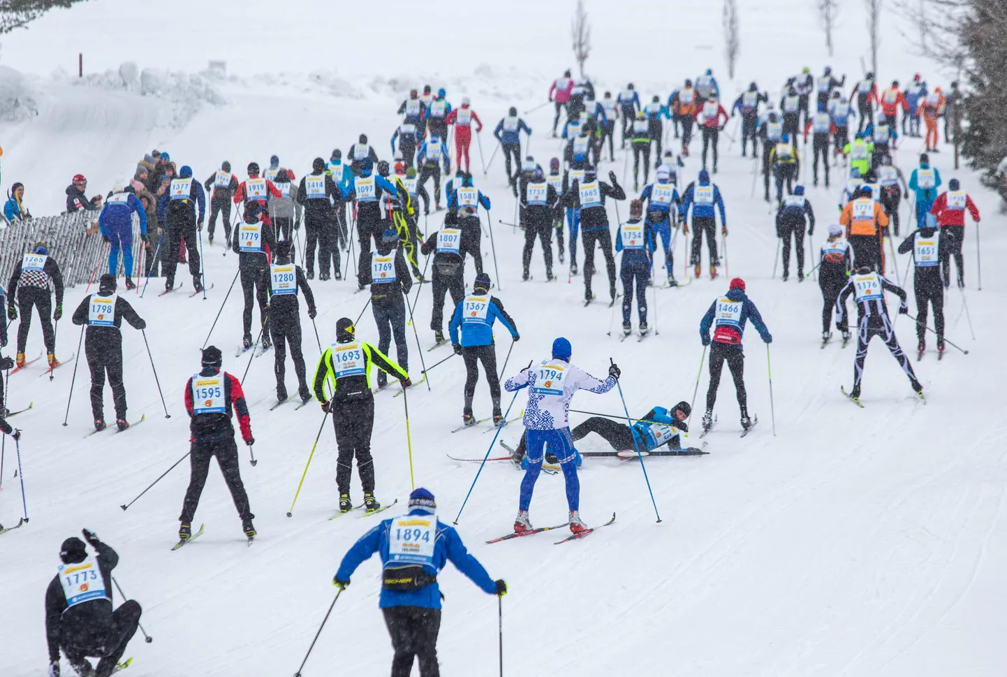 48. Tartu maraton (63km distants)